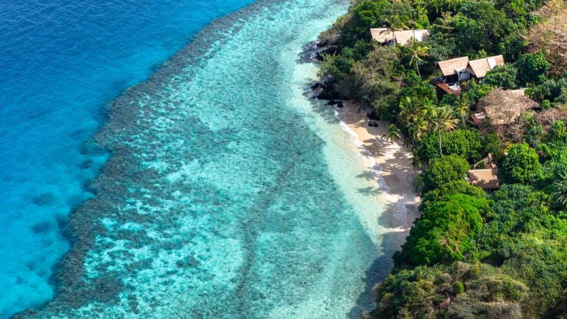 royal davui fiji