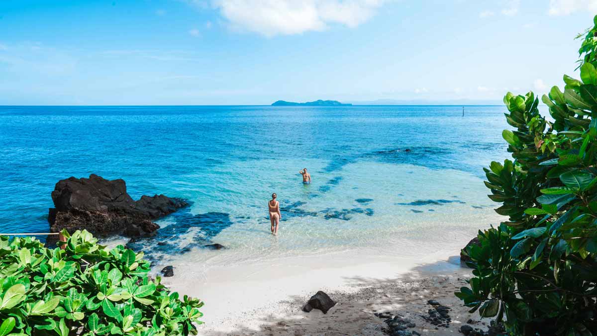 royal davui fiji