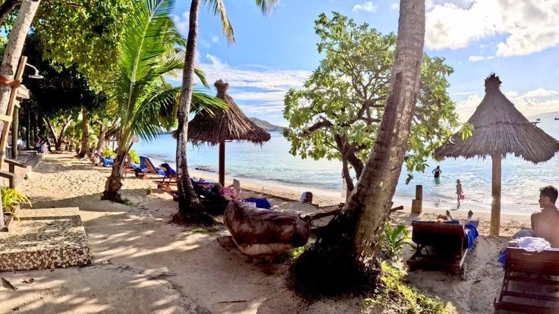 Palm trees, loungers and the beach at Blue Lagoon Beach Resort on Nacula Island