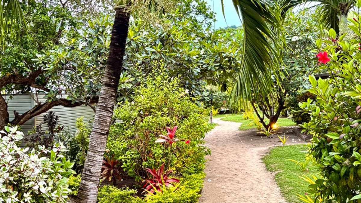 Path through tropical gardens at Blue Lagoon Beach Resort