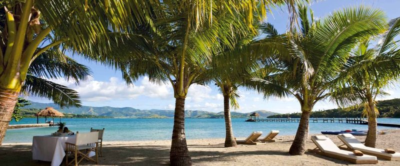 Palm-shaded beach and sea views at Dolphin Island Fiji