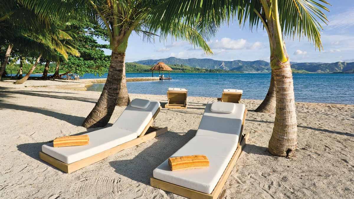 Beach loungers beneath palms at Dolphin Island Fiji