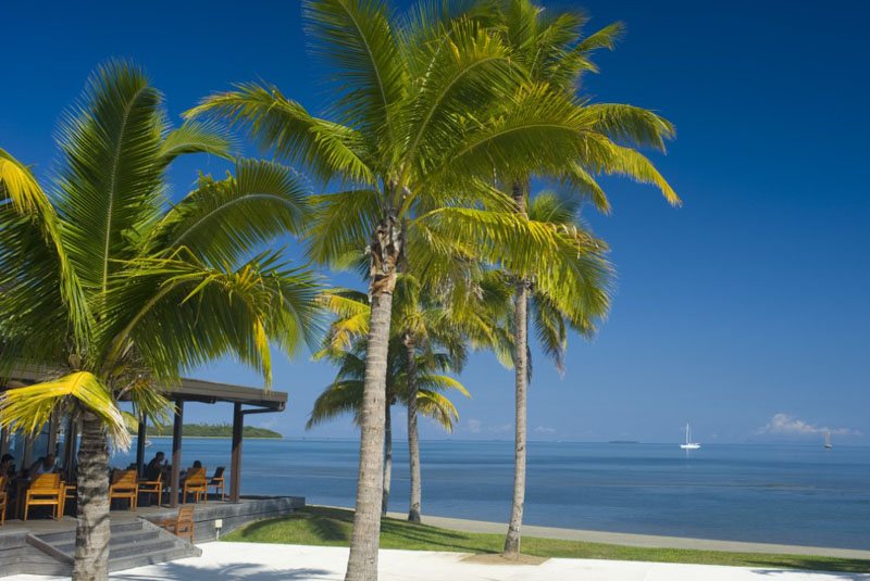 Palm trees and beachfront lawn beside the sea at Hilton Fiji