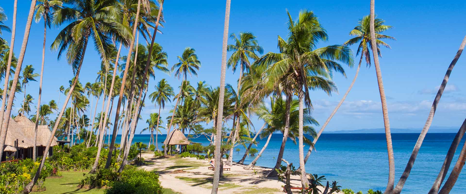 Palm-lined beachfront and thatched bures beside Savusavu Bay at Jean-Michel Cousteau Resort