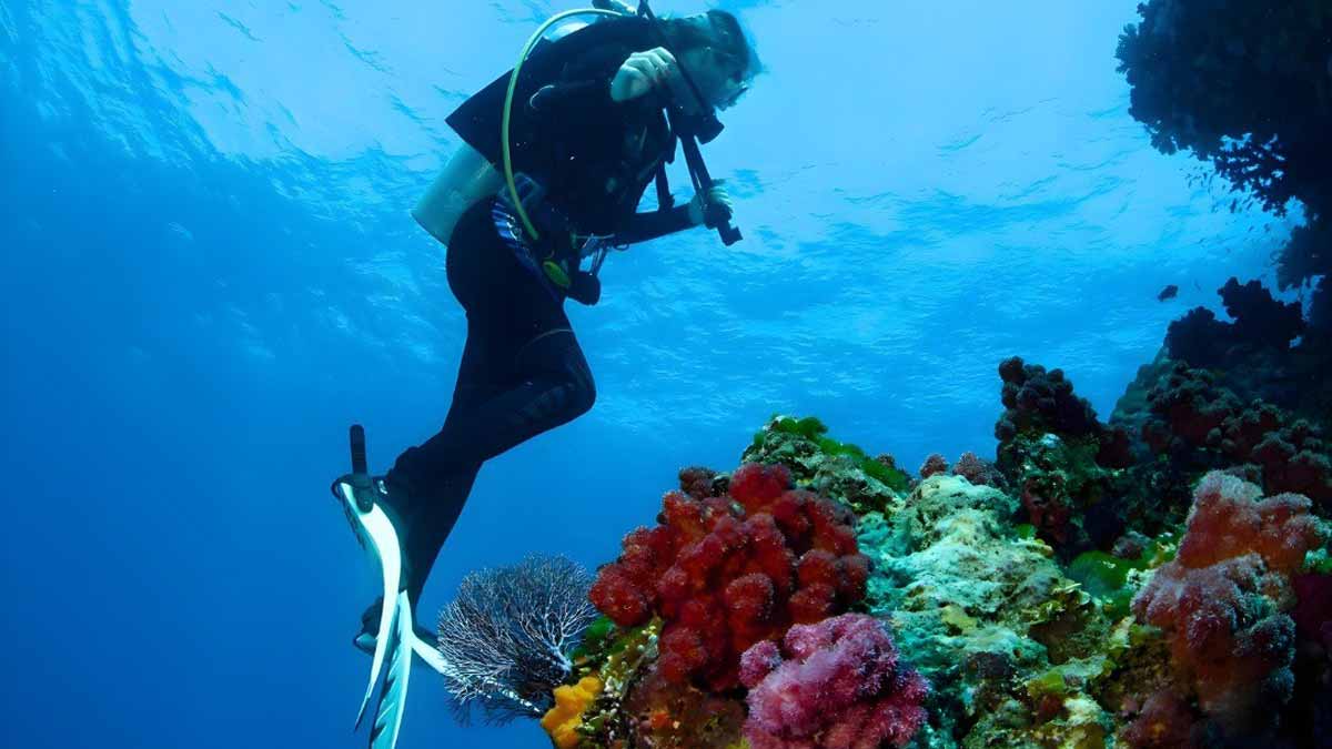 Scuba diver exploring a coral reef in the waters near Jean-Michel Cousteau Resort