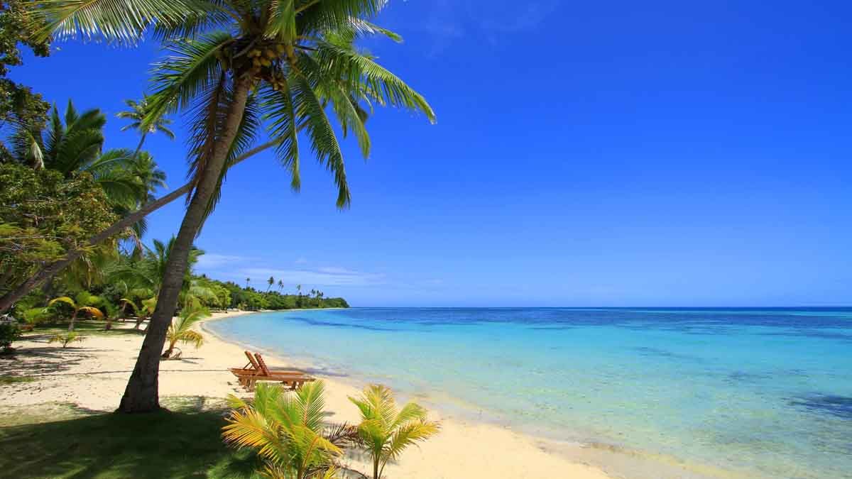 Calm sea and palm-fringed beach at Lomani Island Resort