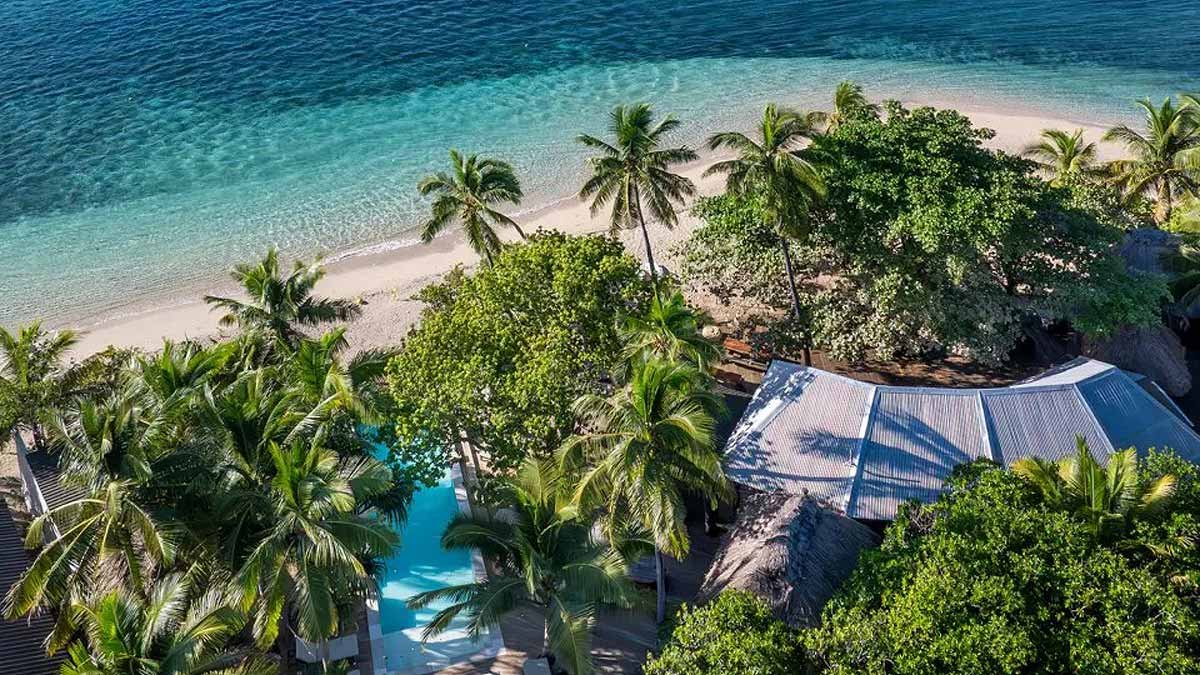 Shared pool, palm trees and beachfront at Mantaray Island Resort