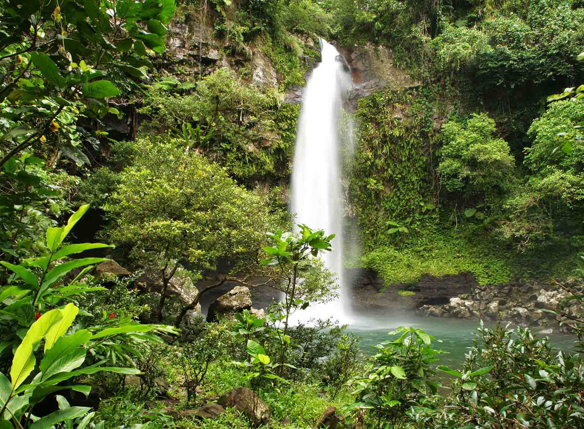 Tavoro waterfall amid tropical forest on neighbouring Taveuni Island
