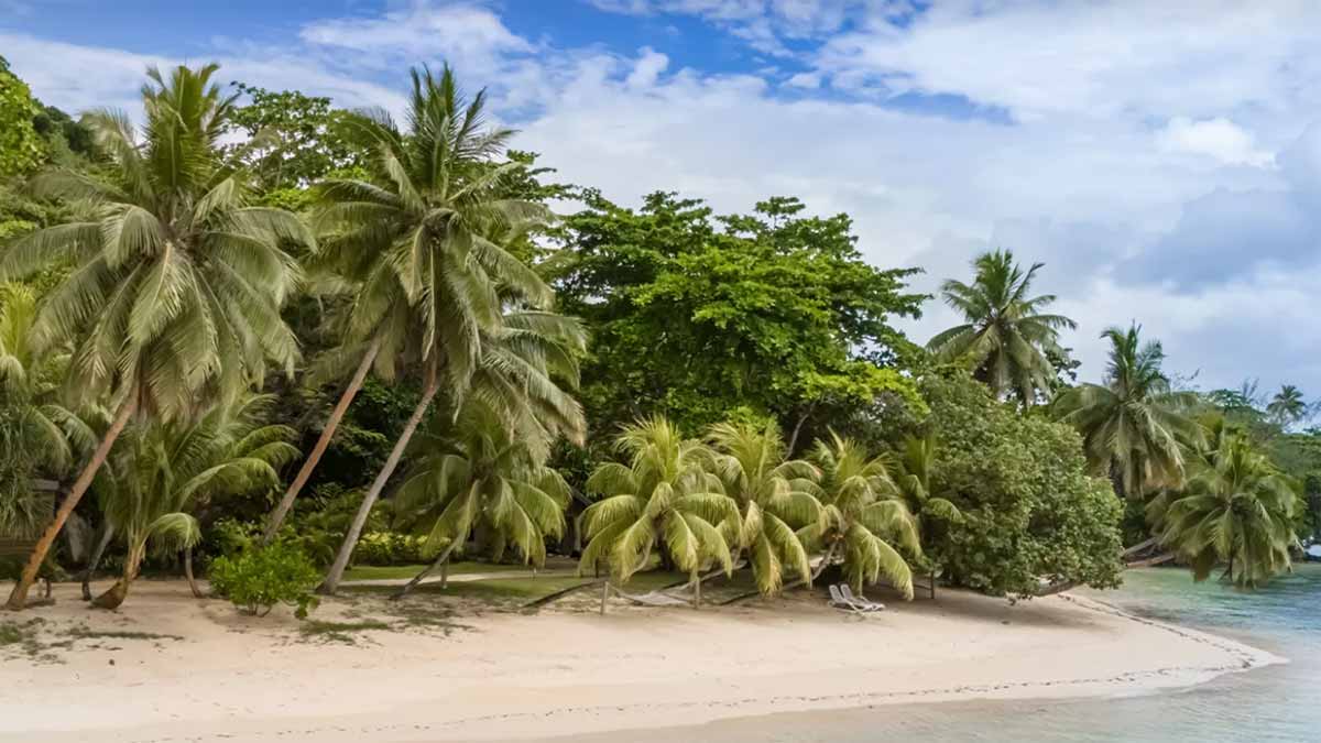 White-sand beach and palms at Matangi Island Resort