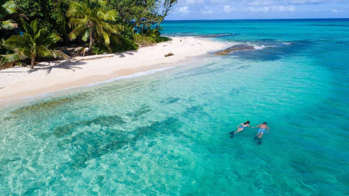 Two snorkellers beside a palm-lined beach at Nanuku Resort Fiji