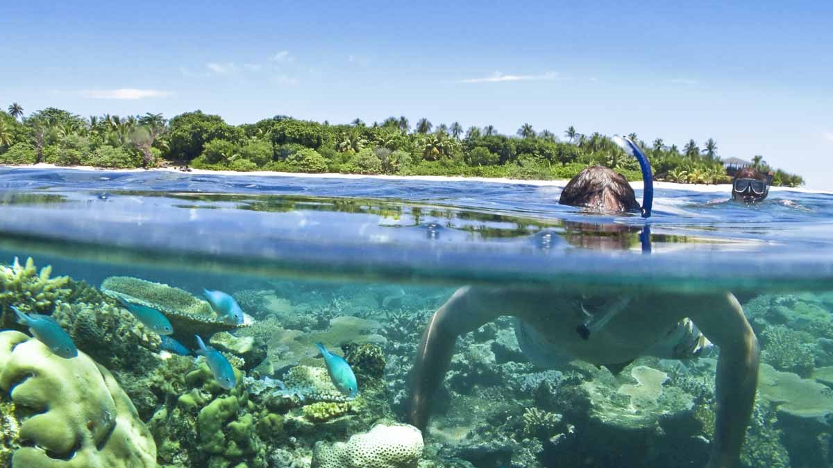 Snorkellers exploring the clear water beside VOMO Island Resort